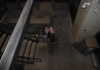 cyber.st4rz Altpins Profile Picture