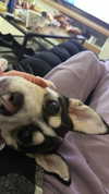 yaarat11 Altpins Profile Picture
