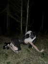 cheycheylikesyou Altpins Profile Picture