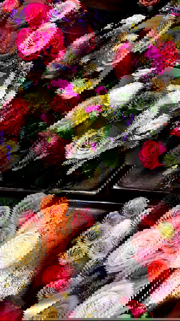 taylor.creeden taylor.creeden archive image