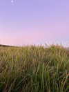daisy_r_19 Altpins Profile Picture