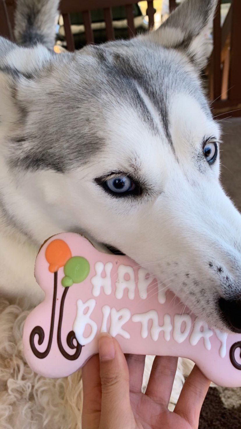 dracuina instagram image archive image