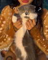 275.cn Altpins Profile Picture