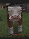 milkiwifey Altpins Profile Picture