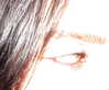billieeilish Altpins Profile Picture