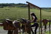 leonanaomii Altpins Profile Picture