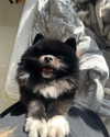 katrina.zaiceva Altpins Profile Picture