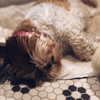 katehudson Altpins Profile Picture