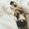 kayyybear Altpins Profile Picture