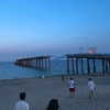 annabottoo Altpins Profile Picture