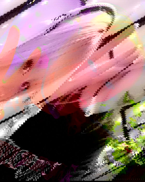 silkton image ~ Altpins