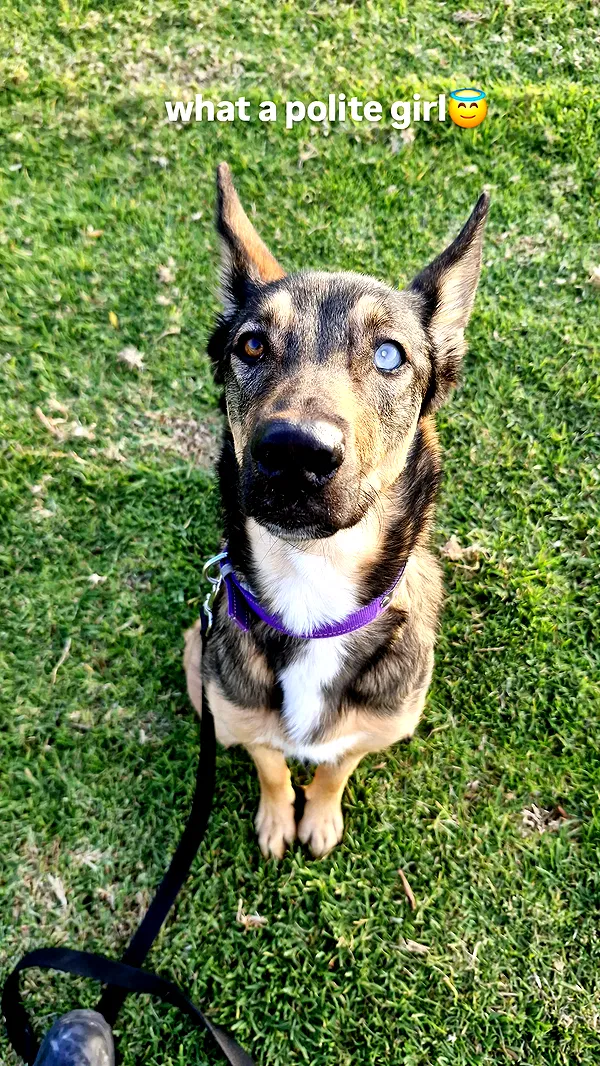 ida.trbl ida.trbl archive image