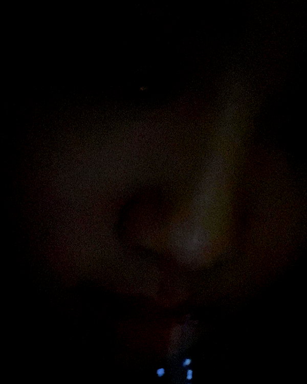 allissashin instagram image archive image