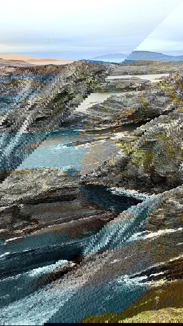 taylor.creeden taylor.creeden archive image