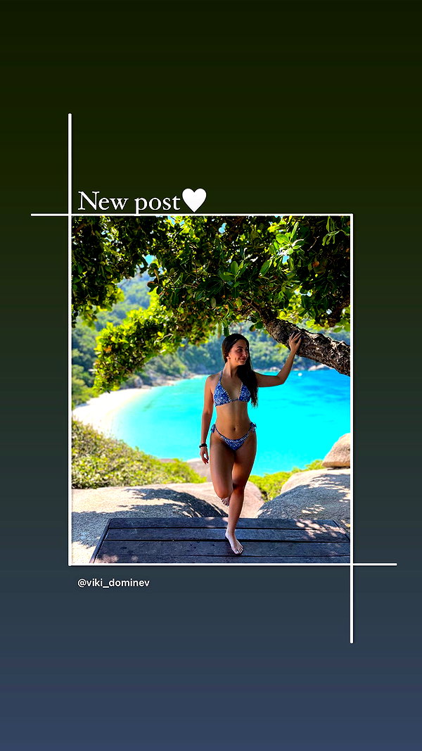 viki_dominev instagram image archive image