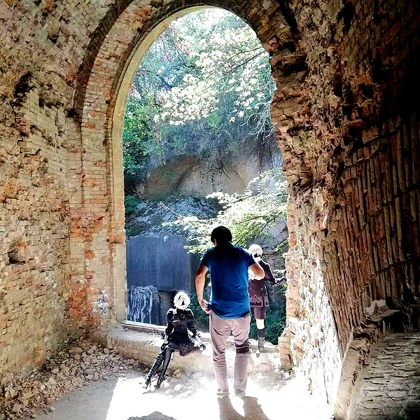muze instagram image archive image