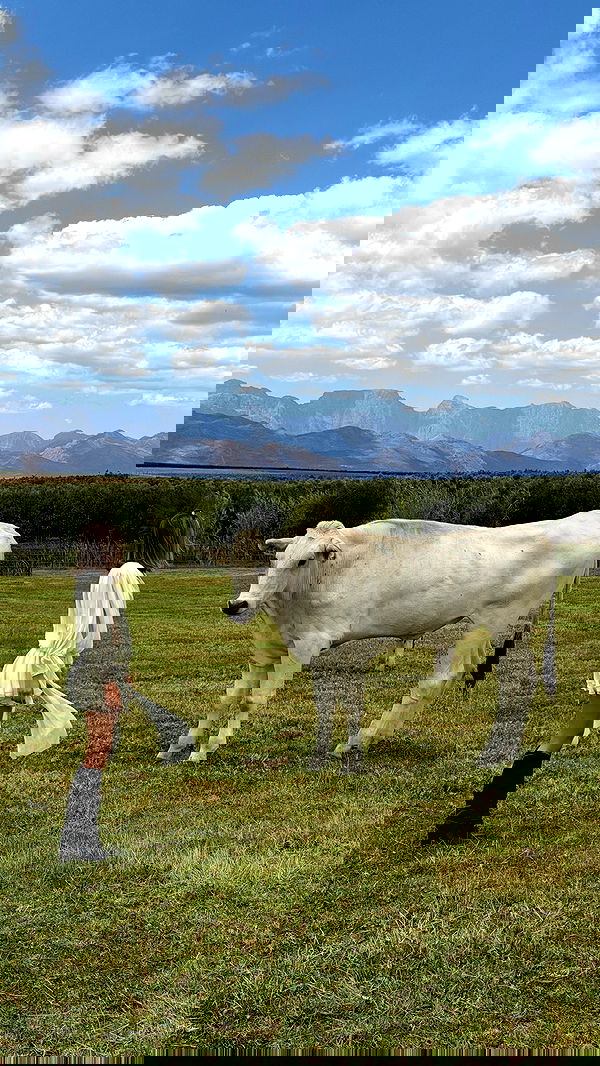 taylor.creeden taylor.creeden archive image