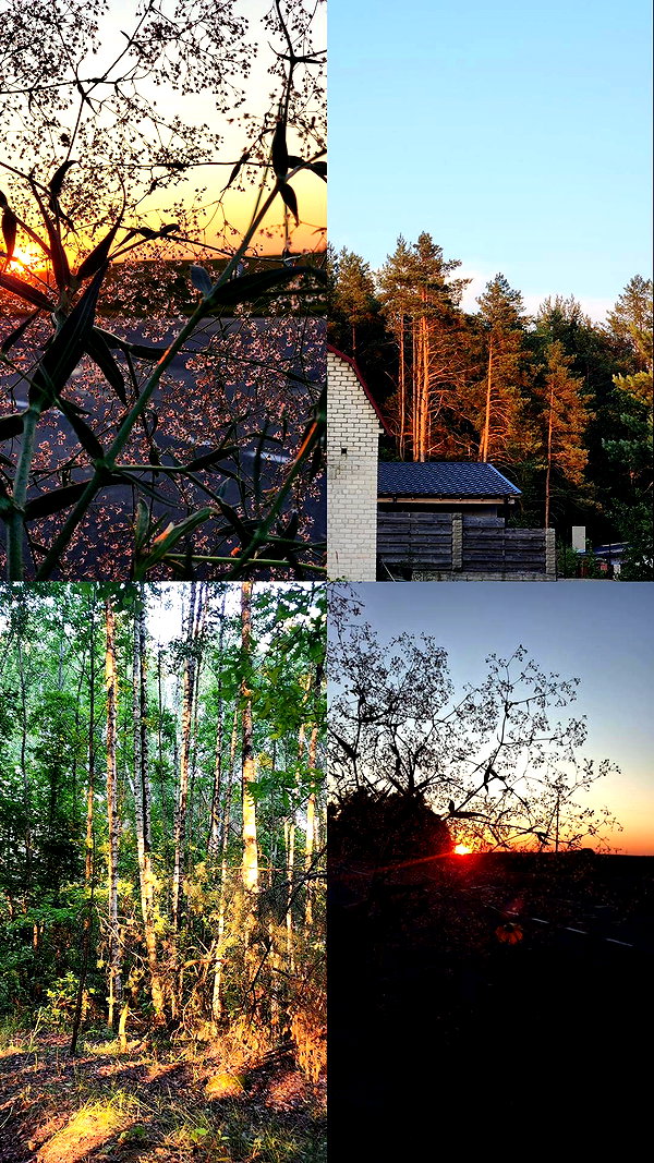 midnightdrearry instagram image archive image