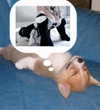 katanires Altpins Profile Picture
