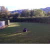 shakira Altpins Profile Picture
