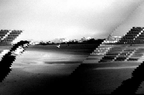 ting851204 ting851204 archive image