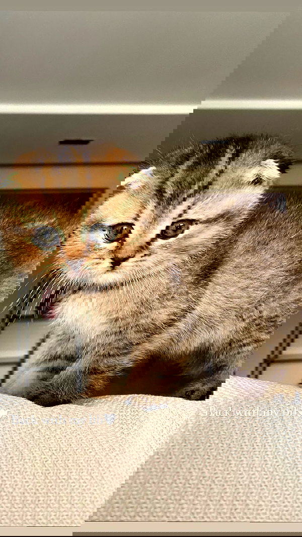 taylor.creeden taylor.creeden archive image