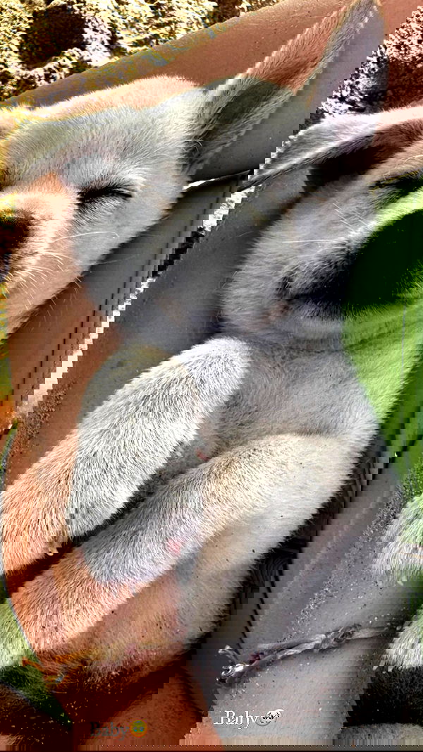 taylor.creeden taylor.creeden archive image