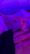 hoodifruit Altpins Profile Picture