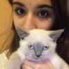 owlydiaa Altpins Profile Picture