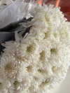 indra0102_ Altpins Profile Picture