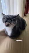 minenmi_ Altpins Profile Picture