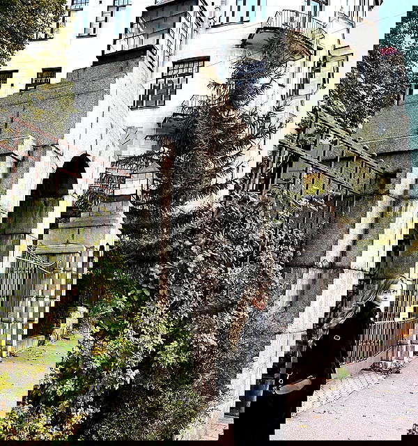 pinx_ir pinx_ir archive image