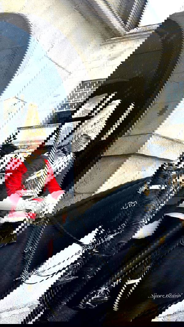 taylor.creeden taylor.creeden archive image