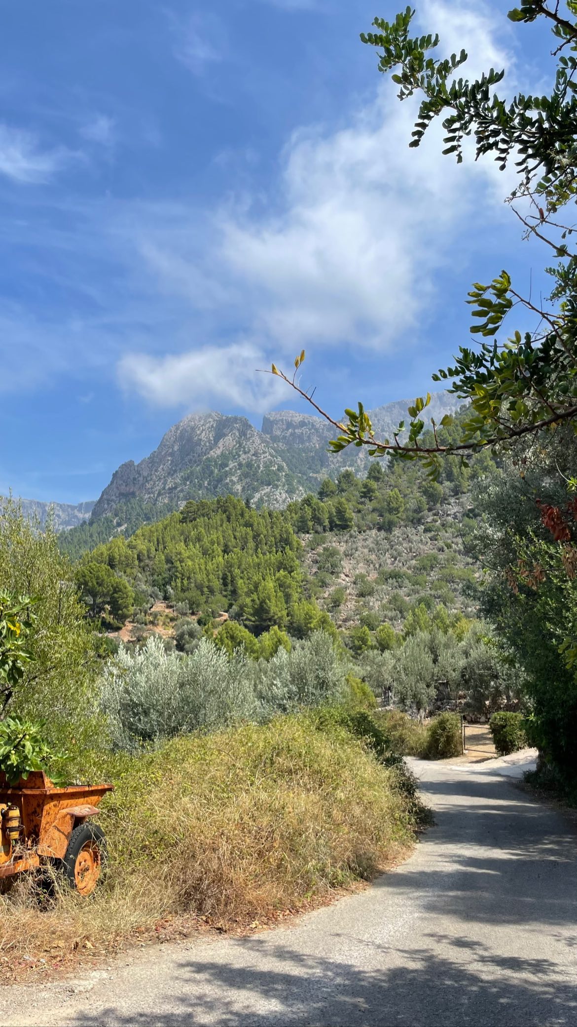 shunli__mei instagram image archive image