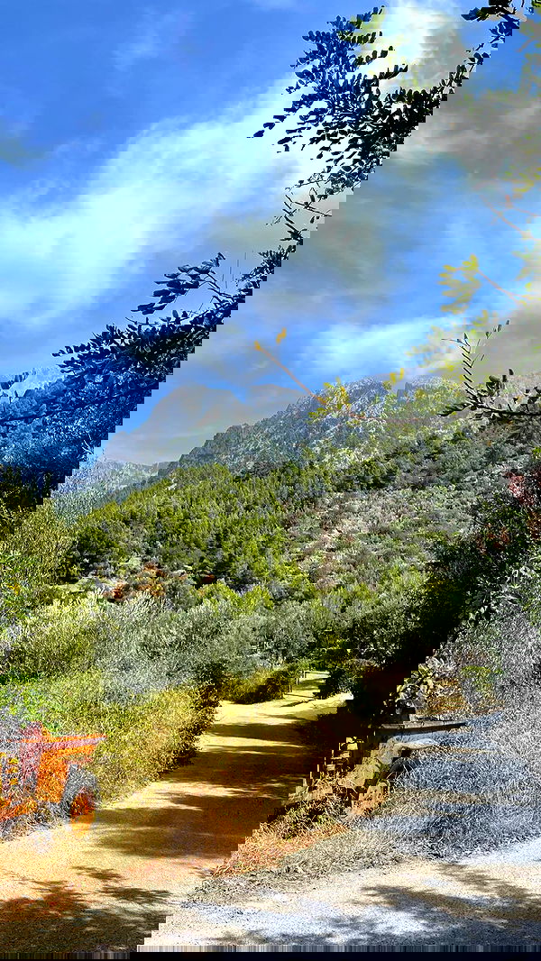 shunli__mei image ~ Altpins