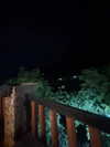 lasaaagna Altpins Profile Picture
