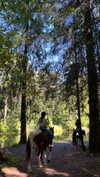 nasstellaa Altpins Profile Picture