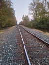 kimberr_0000 Altpins Profile Picture
