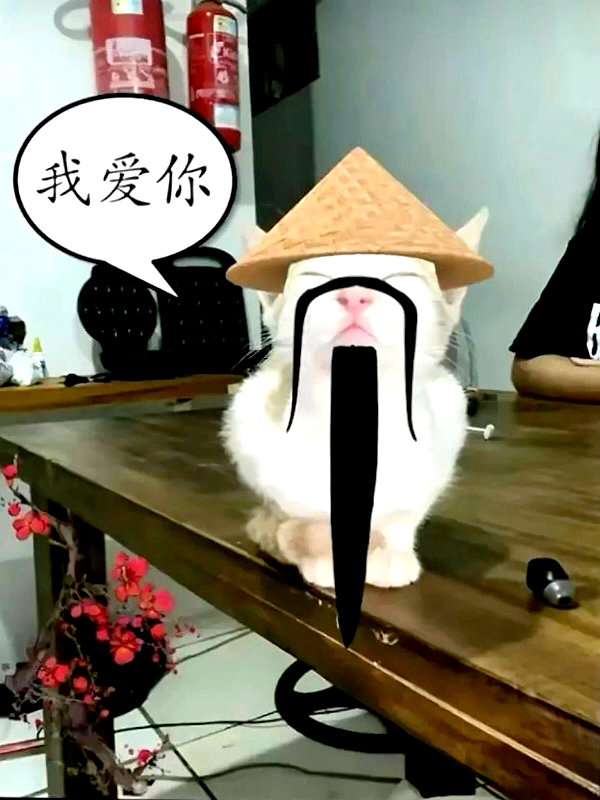 milkibunshehe instagram image archive image