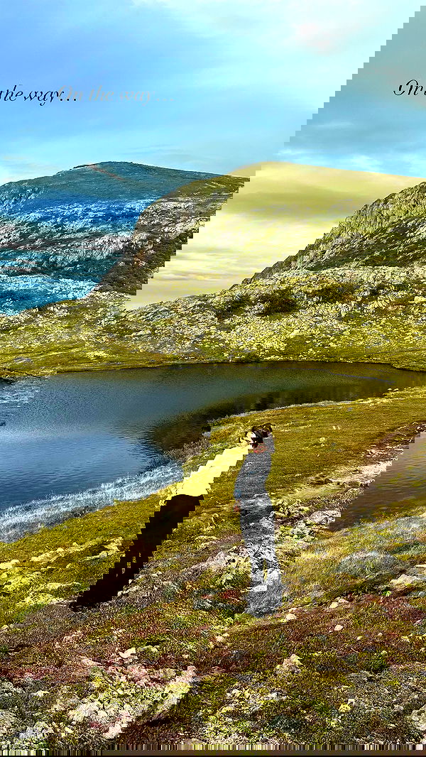 taylor.creeden taylor.creeden archive image