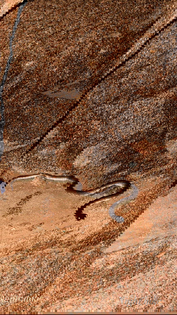 taylor.creeden taylor.creeden archive image