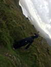 rchhhll Altpins Profile Picture