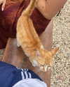 emmaaurora Altpins Profile Picture