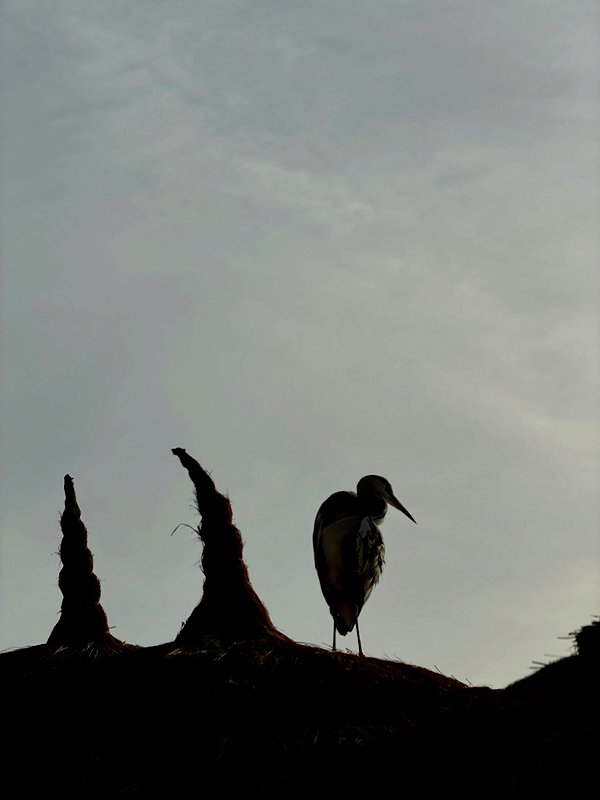 alishevs instagram image archive image