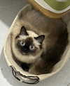 evasela__ Altpins Profile Picture