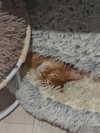 auddk_77 Altpins Profile Picture