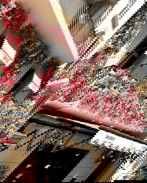 taylor.creeden taylor.creeden archive image