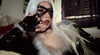 reanidays.cos Altpins Profile Picture