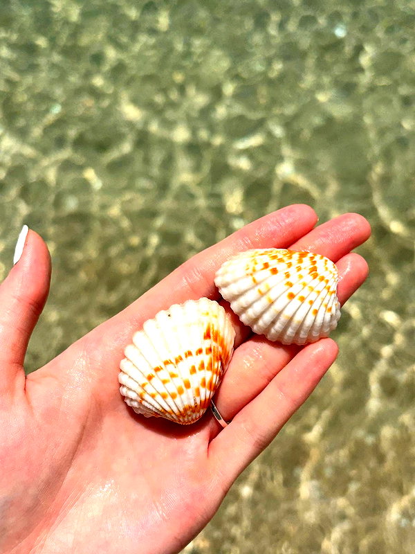 melsaimc instagram image archive image