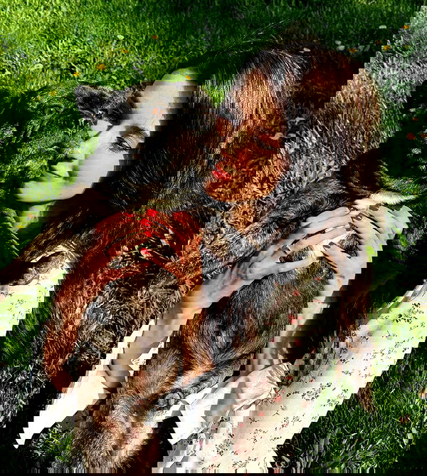 hanna_ky hanna_ky archive image